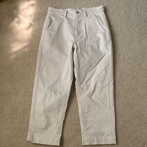 Everlane the straight leg crop short